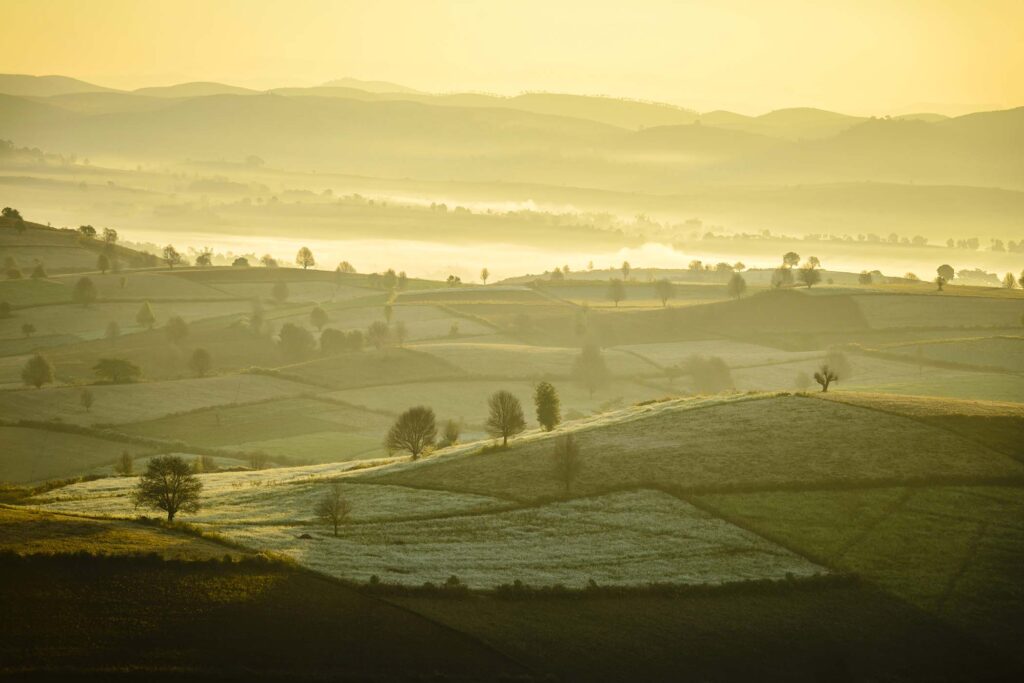 sunrise-over-farmland-in-rural-landscape-PTTQYKC.jpg